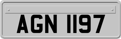 AGN1197