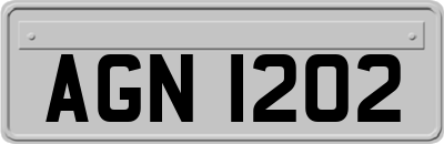 AGN1202