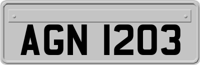 AGN1203