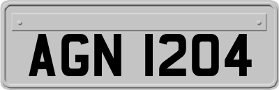 AGN1204