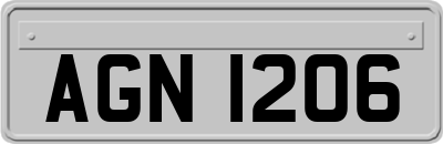AGN1206