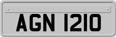 AGN1210