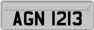 AGN1213