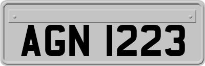 AGN1223