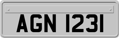 AGN1231