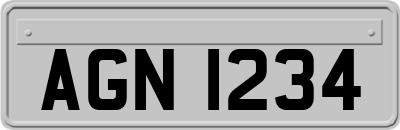 AGN1234
