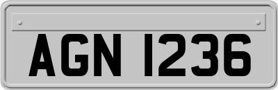 AGN1236