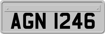 AGN1246