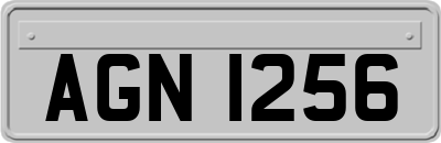 AGN1256