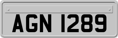 AGN1289