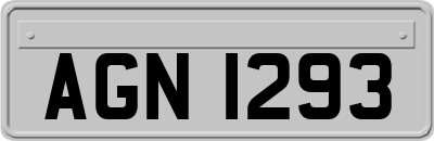 AGN1293