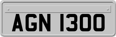 AGN1300