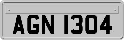 AGN1304