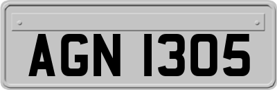 AGN1305