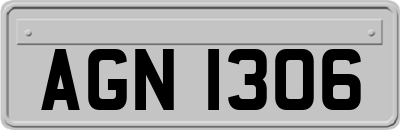 AGN1306