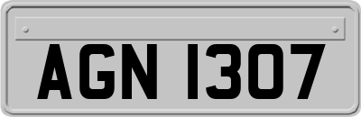AGN1307