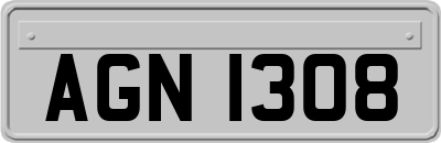 AGN1308