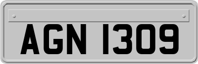 AGN1309