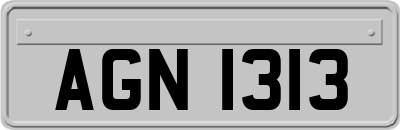 AGN1313