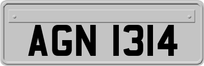 AGN1314