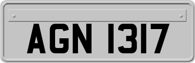 AGN1317