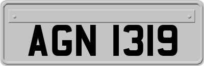 AGN1319