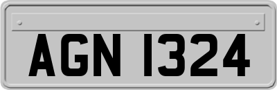 AGN1324