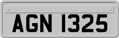 AGN1325