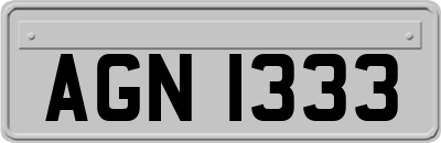 AGN1333