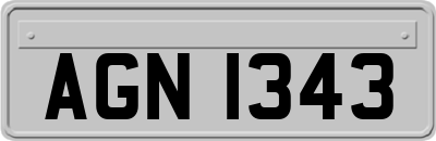 AGN1343