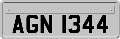 AGN1344