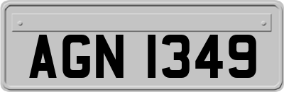 AGN1349