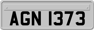 AGN1373