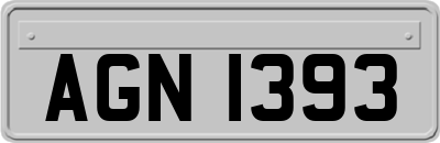 AGN1393