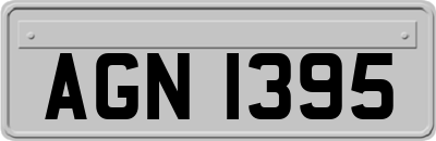 AGN1395