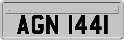 AGN1441