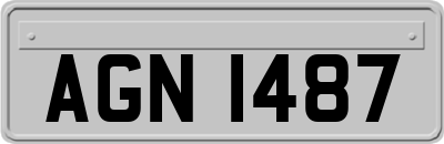 AGN1487