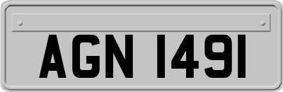 AGN1491