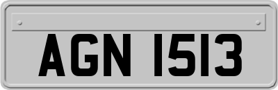 AGN1513