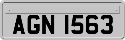 AGN1563