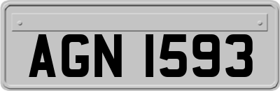 AGN1593
