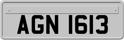 AGN1613