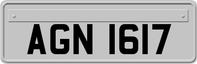 AGN1617