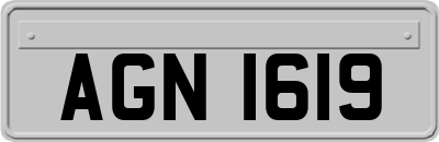 AGN1619