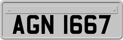 AGN1667