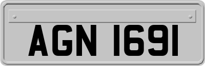 AGN1691