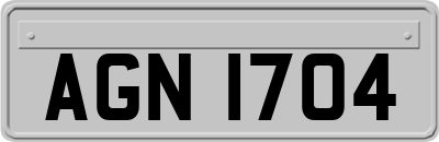 AGN1704