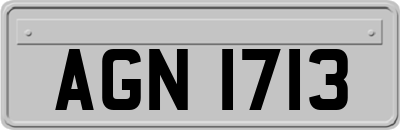 AGN1713