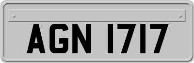 AGN1717