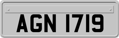 AGN1719